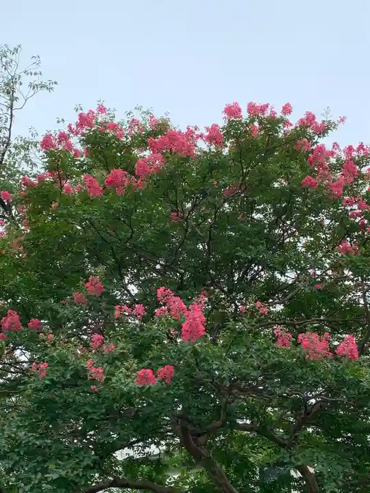 東照寺(神奈川県)