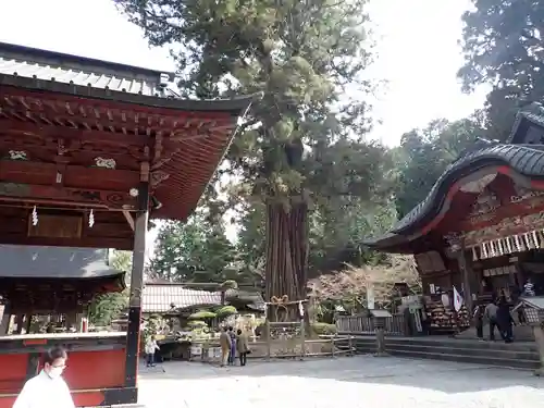 北口本宮冨士浅間神社(山梨県)
