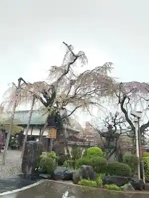 喜多院(埼玉県)
