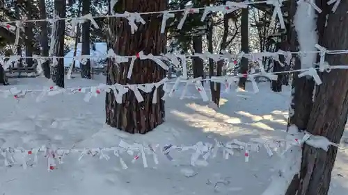 上川神社のおみくじ