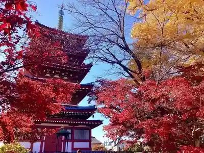 本土寺(千葉県)