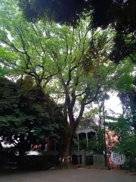 乃木神社(東京都)