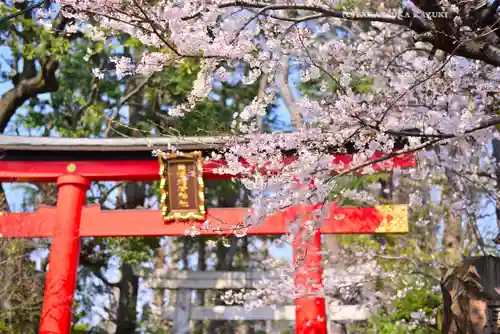 馬橋稲荷神社(東京都)