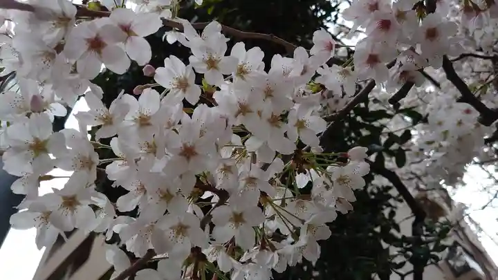 秋葉神社の自然
