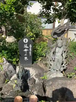泉竜寺(乙女不動尊)(栃木県)