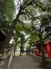 金神社(岐阜県)