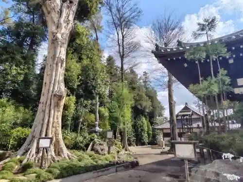 龍興寺(栃木県)