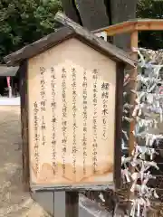 阿智神社(岡山県)