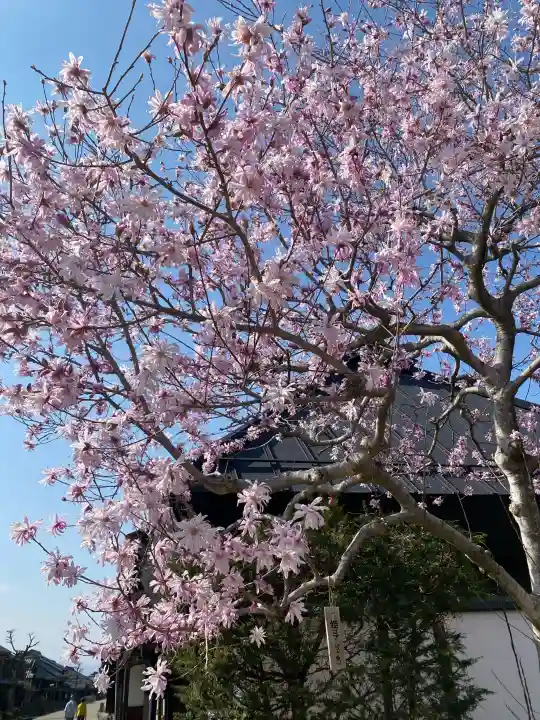 白鳥神社の{uncategorized: "未分類", other: "その他", undefined: "問題あり", building: "その他建物", grave: "お墓", sacred_gate: "鳥居", guardian: "狛犬", statue: "像", buddha: "仏像", history: "歴史", nature: "自然", garden: "庭園", animal: "動物", pagoda: "塔", temizu: "手水舎", mountain_gate: "山門・神門", sanctuary: "本殿・本堂", subordinate: "末社・摂社", art: "芸術", scenery: "景色", jizo: "地蔵", ema: "絵馬", goshuin: "御朱印", omikuji: "おみくじ", items: "授与品その他", amulet: "お守り", goshuincho: "御朱印帳", eats: "食事", festival: "お祭り", votive_dance: "神楽", shichigosan: "七五三参", wedding: "結婚式", experience: "体験その他", initially: "初詣", around: "周辺", anti_infection: "感染症対策"}