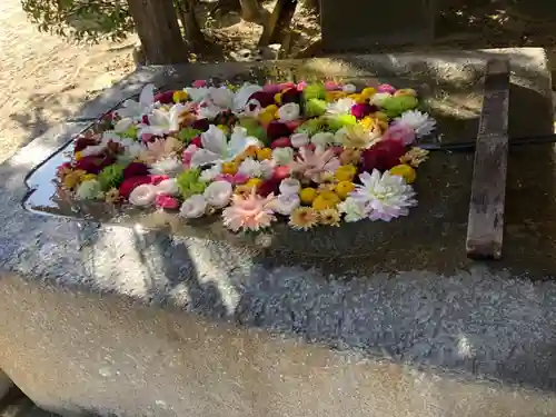 紅葉八幡宮の手水舎