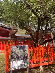 金櫻神社(山梨県)