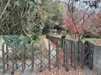 白藤神社(千葉県)