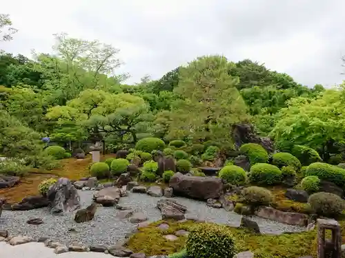 妙満寺の庭園