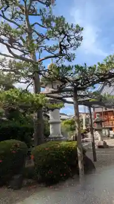 阿弥陀寺(滋賀県)