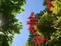 滑川神社 - 仕事と子どもの守り神の自然