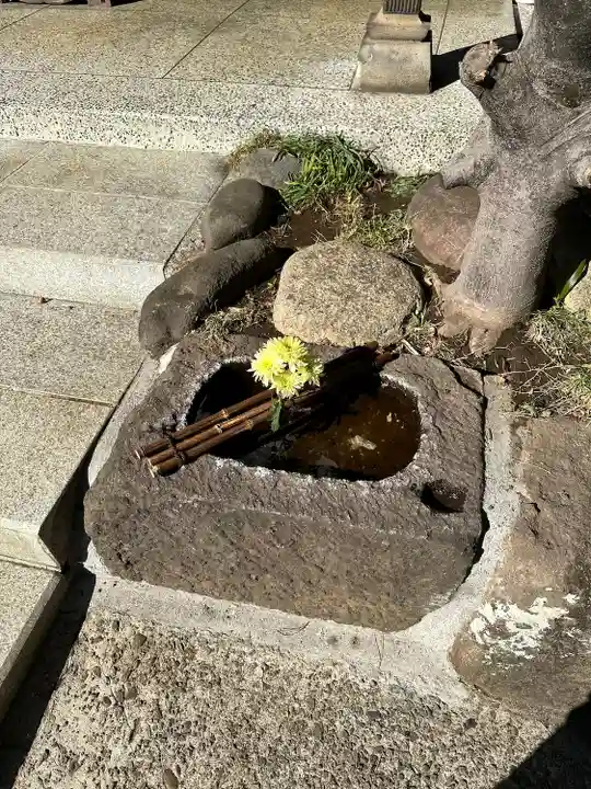 龍泉院(東京都)