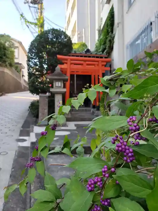 繁栄稲荷神社の自然