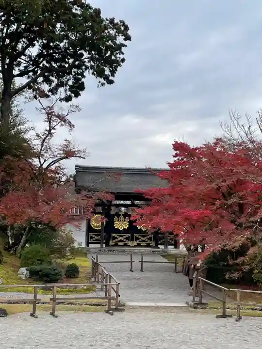 醍醐寺(京都府)