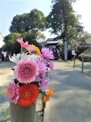 福島八幡宮(福岡県)