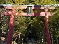 來宮神社(静岡県)