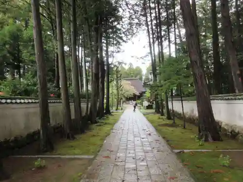 國分寺(高知県)