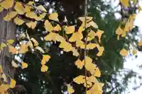 阿久津「田村神社」(郡山市阿久津町)旧社名:伊豆箱根三嶋三社の庭園