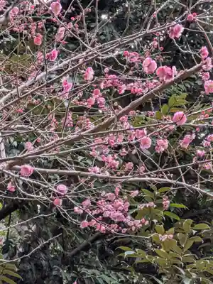 赤坂氷川神社(東京都)