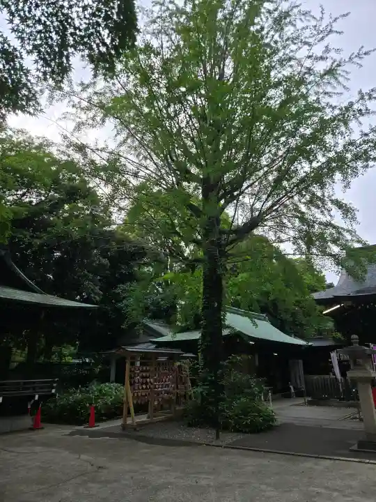 渋谷氷川神社の{uncategorized: "未分類", other: "その他", undefined: "問題あり", building: "その他建物", grave: "お墓", sacred_gate: "鳥居", guardian: "狛犬", statue: "像", buddha: "仏像", history: "歴史", nature: "自然", garden: "庭園", animal: "動物", pagoda: "塔", temizu: "手水舎", mountain_gate: "山門・神門", sanctuary: "本殿・本堂", subordinate: "末社・摂社", art: "芸術", scenery: "景色", jizo: "地蔵", ema: "絵馬", goshuin: "御朱印", omikuji: "おみくじ", items: "授与品その他", amulet: "お守り", goshuincho: "御朱印帳", eats: "食事", festival: "お祭り", votive_dance: "神楽", shichigosan: "七五三参", wedding: "結婚式", experience: "体験その他", initially: "初詣", around: "周辺", anti_infection: "感染症対策"}