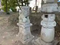鷲神社の狛犬