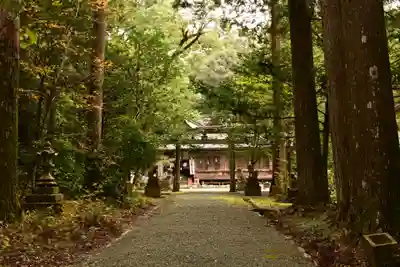 若一王子宮(高知県)
