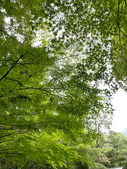 大山祇神社(伊勢神宮内宮)(三重県)