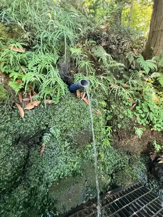 穴澤天神社(東京都)