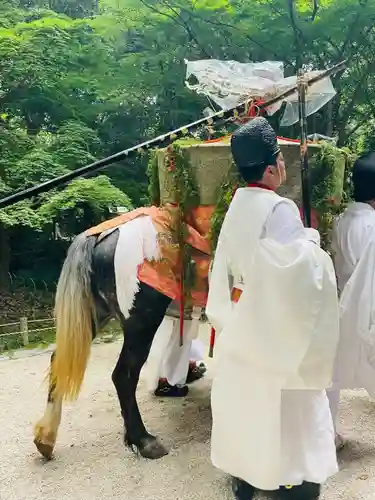 賀茂御祖神社（下鴨神社）(京都府)