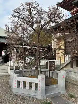 大坊本行寺(東京都)