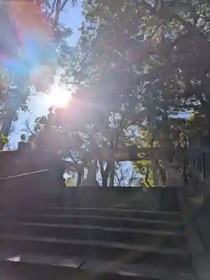 赤坂氷川神社(東京都)