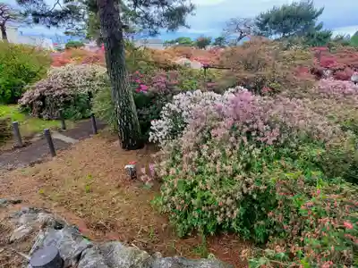 善長寺(群馬県)