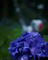 磯山神社(栃木県)