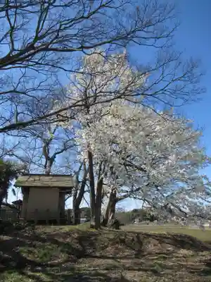 神明神社(千葉県)