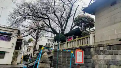 元町厳島神社(神奈川県)