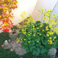 寿量山 速成寺の自然