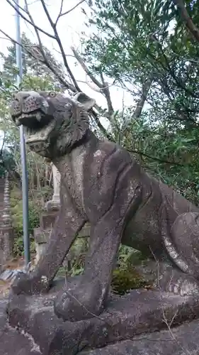 泉浄院の狛犬