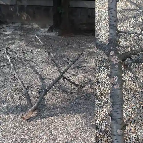 元郷氷川神社のその他建物