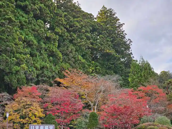 日光東照宮(栃木県)