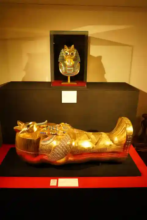 猫猫寺(京都府)