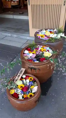 多賀神社の手水舎