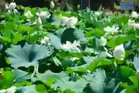 浄名寺(山口県)