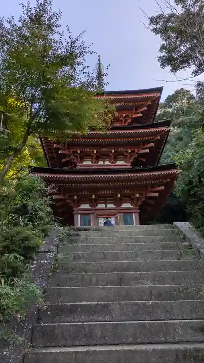 浄瑠璃寺(京都府)