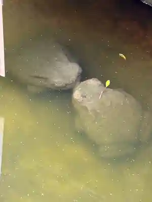 生石神社(兵庫県)