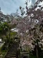 福徳寺(京都府)