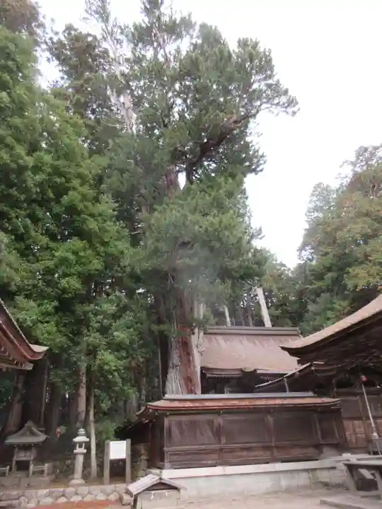 油日神社の本殿・本堂